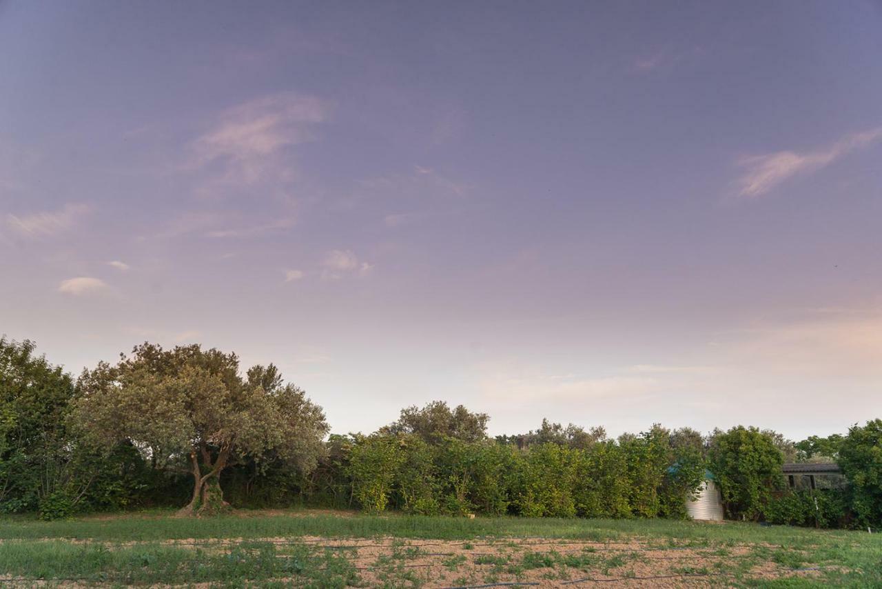 Can Gual Guest House Lametlla Del Valles Exterior photo